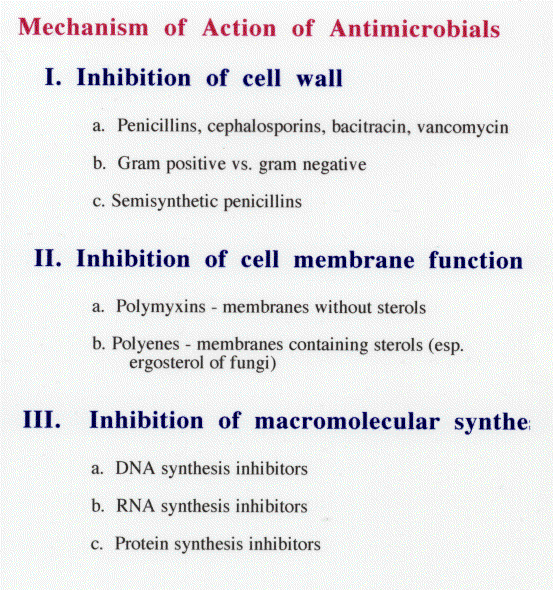 Antimicrobial Agents and Chemoterapy